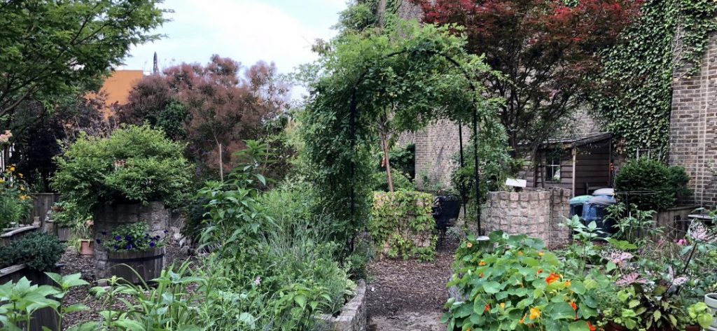 landscape picture of transit garden