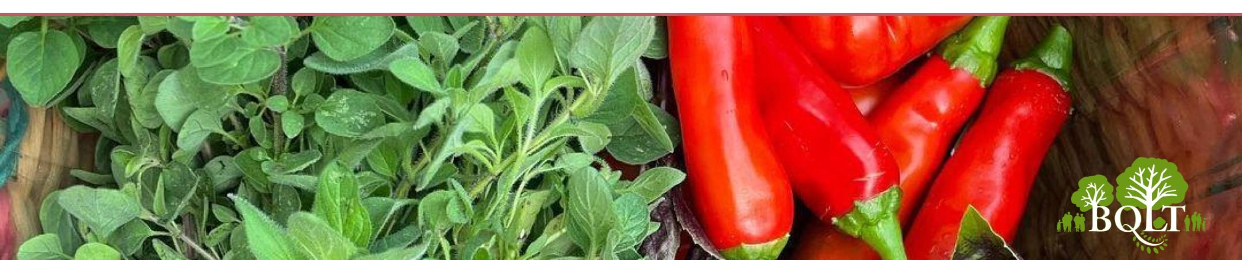 Monthly Gardener Gathering & Potluck – December